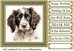 Springer pup card front 7