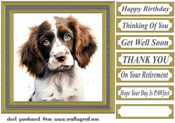 Springer pup card front 8