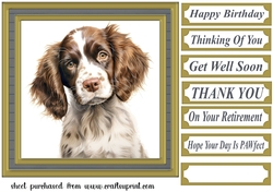 Springer pup card front 12