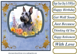 Floral Scottish terrier card front (N) 4