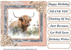 Lace framed hedgerow Highland cow card front 3