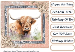 Lace framed hedgerow Highland cow card front 10