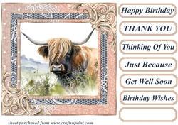 Lace framed hedgerow Highland cow card front 11