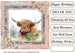 Lace framed hedgerow Highland cow card front 13