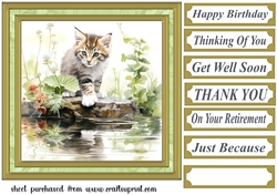 Pond side kitten card front 1