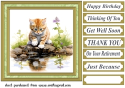 Pond side kitten card front 2