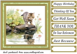 Pond side kitten card front 4