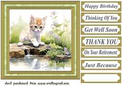 Pond side kitten card front 5
