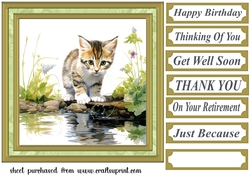 Pond side kitten card front 6