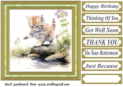 Pond side kitten card front 7