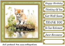 Pond side kitten card front 8