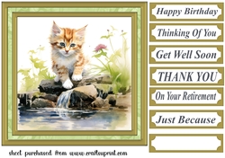 Pond side kitten card front 9