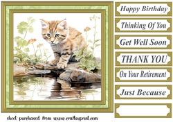 Pond side kitten card front 11