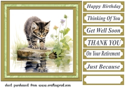 Pond side kitten card front 12
