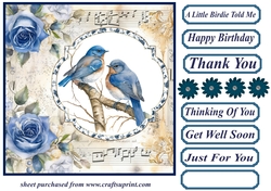 Blue rose a little birdie told me card front 3