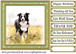 Meadow Collie card front 2