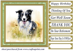 Meadow Collie card front 5