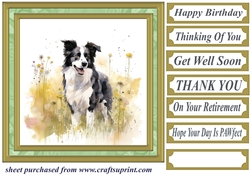 Meadow Collie card front 6