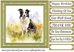 Meadow Collie card front 7