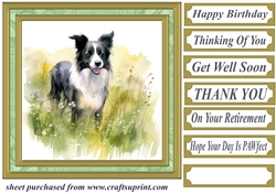 Meadow Collie card front 8