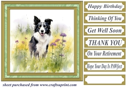 Meadow Collie card front 9