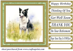 Meadow Collie card front 11