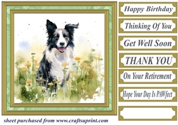 Meadow Collie card front 12