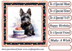 Framed Scottish terrier Birthday Card front 1