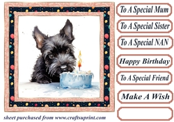 Framed Scottish terrier Birthday Card front 2