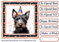 Framed Scottish terrier Birthday Card front 4