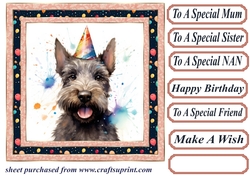 Framed Scottish terrier Birthday Card front 5