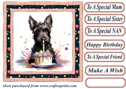 Framed Scottish terrier Birthday Card front 9
