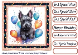 Framed Scottish terrier Birthday Card front 11