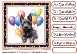 Framed Scottish terrier Birthday Card front 13