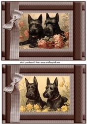 2 Vintage floral Scottish terrier card fronts 5