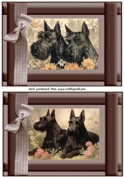 2 Vintage floral Scottish terrier card fronts 6