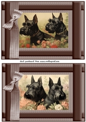 2 Vintage floral Scottish terrier card fronts 7