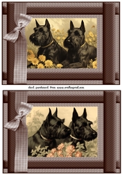 2 Vintage floral Scottish terrier card fronts 8