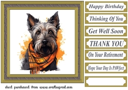 Tartan scarf Scottish terrier card front 3