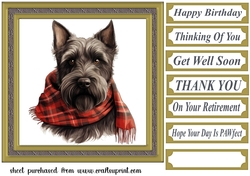 Tartan scarf Scottish terrier card front 5