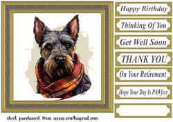 Tartan scarf Scottish terrier card front 10