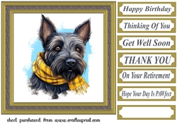 Tartan scarf Scottish terrier card front 11