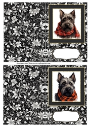 2 Tartan scarf Scottish terrier notelets 3