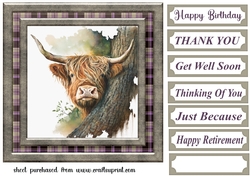 Hiding Highland cow card front 2