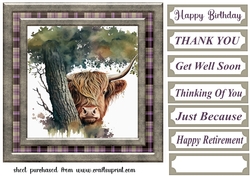 Hiding Highland cow card front 6