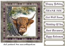 Hiding Highland cow card front 7