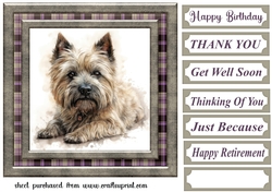 Cairn terrier card front1