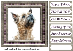 Cairn terrier card front 2