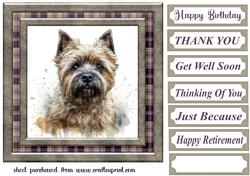 Cairn terrier card front 3