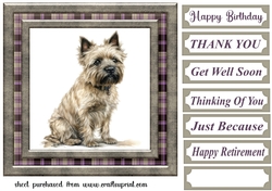 Cairn terrier card front 4